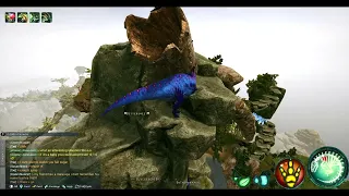 Beasts of Bermuda / Life finds a way / Kills and Fights compilation 16