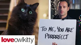 Love Actually but with a cat (OwlKitty Parody)