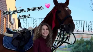 VLOG💕Мне подарили лошадь!✨