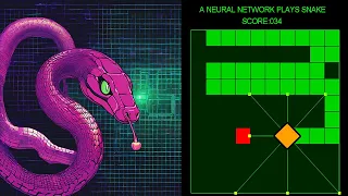 A.I Learns Snake And Wins 60FPS - Part 2