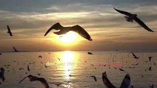 Lounge, Relaxing Music Video, Flowers, Landscapes,  See and water,