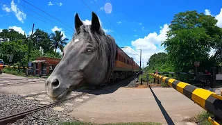 Dangerous Mad Horse Headed LHB Trains Furious Crazy Sound Skipping Throughout Railgate