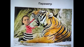 ВСЕ ПРО ФУНКЦІЇ НМТ