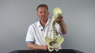 Common Root Cause of Scoliosis with Matthew Janzen, Doctor of Chiropractic