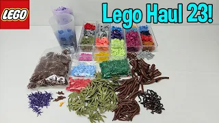 LEGO Haul 23! | in 4K! | LEGO Bricks and Pieces and PAB Wall Finds! #lego #legohaul #legoaddict