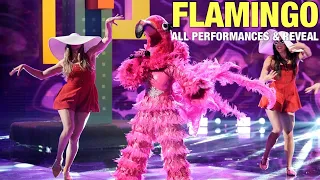 The Masked Singer Flamingo: All Clues, Performances & Reveal