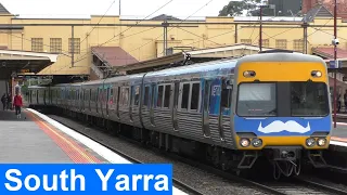 Trains & Trams at South Yarra - Melbourne Transport
