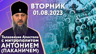 Вторник, 1 августа 2023 года. Толкование Апостола с митр. Антонием (Паканичем).