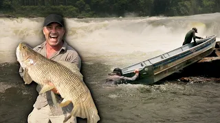 LES PRÉDATEURS LES PLUS RECULÉS D'AMAZONIE - Cyril Chauquet