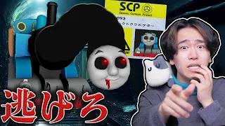 恐怖のSCP『トーマスexe』が住むトンネルに迷い込んだ結果！？ロブロックス【ROBLOX】