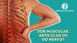 Como saber se a dor é muscular, articular ou do nervo?