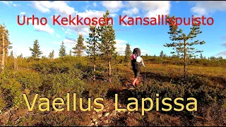 Urho Kekkosen Kansallispuisto vaellus. Aittajärvi Sudenpesä, Saariselkä erämaa