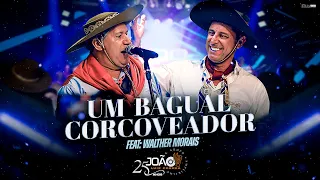 Um Bagual Corcoveador - João Luiz Corrêa & Grupo Campeirismo ( DVD 25 anos de Carreira) 4k 2024