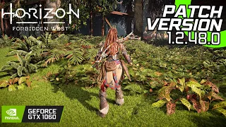 Horizon Forbidden West - Patch v1.2.48.0 - GTX 1060 + i7 4770 | All Settings Tested