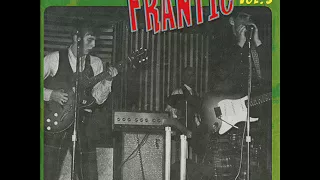 Destination Frantic #3 30 U.S. '60s Garage Hits from the Land of Zone 66