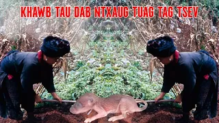 KHAWB TAU DAB NTXAUG TUAG TAG TSEV