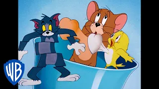 Tom et Jerry en Français | Voilà les oiseaux | WB Kids