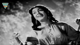 Jiya Beqarar Video Song || Barsaat Hindi Movie || Nargis, Raj Kapoor || Eagle Classic Songs