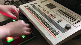 Roland TB-3 and TR-707 acid techno(?) session