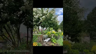 Amazing Transformation! 🌱 #cottagegarden #gardentour #perennialgarden #garden #flowergarden