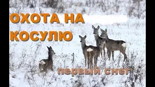 ОХОТА НА КОСУЛЮ.  Первый снег .