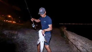I Thought I Hooked a GIANT SNOOK!! Fishing GANDY SEA WALL!