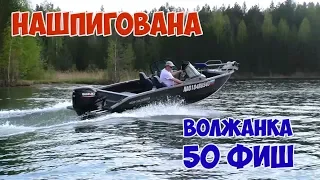 Волжанка 50 фиш. ЧТО ЗА ЗВЕРЬ?