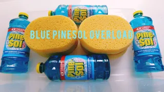 Blue PineSol OVERLOAD | Soapy Sponge Squeezing