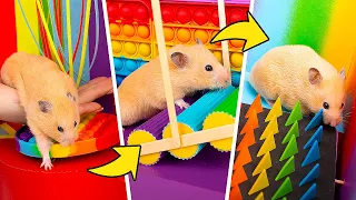 Riesiges POP IT Hamster Labyrinth!