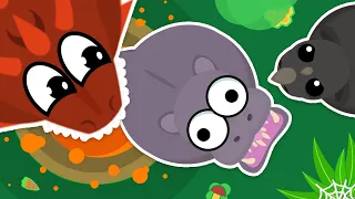 *RARE* Loody is the Smallest Pro of MOPE.IO