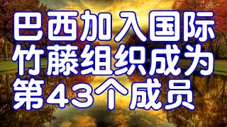 巴西加入国际竹藤组织成为第43个成员