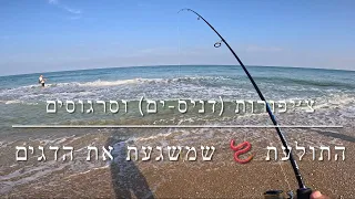 דייג - דניסים וסרגוסים על אולטרה לייט | התולעת שמשגעת את הדגים עושה את העבודה 2023.