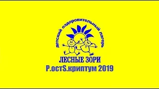 P.остS.криптум сезона 2019 / ДОЛ "Лесные зори".