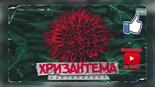 KONTRABANDA   Хризантема новинки 2019, текст и слова песни