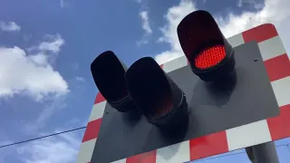 Wedgewood level crossing 12/05/24