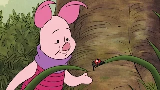 If I Wasn't So Small | The Mini Adventures of Winnie The Pooh | Disney