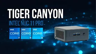 Intel NUC 11 Pro - Tiger Canyon - Overview