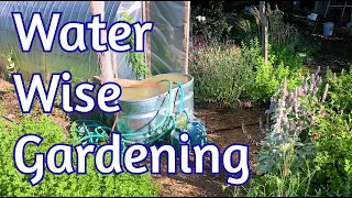 Permaculture Irrigation - Passive Soaking, Overflows and more...