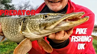 Pike fishing UK : The agony and the ecstasy of the Pike angler