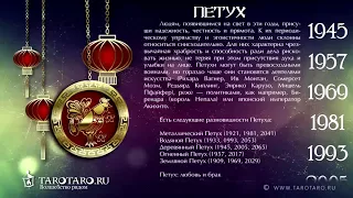 Петух: характеристика знака или год Петуха по восточному (китайскому) гороскопу