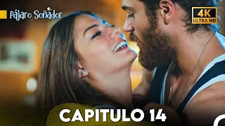 Pájaro Soñador Capítulo 14 (Doblado En Español 4K)