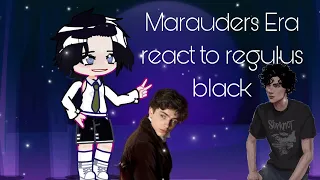 Marauders Era react to Regulus Black