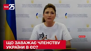 🔗 Що і хто заважає нашому членству в ЄС - Еміне Джапарова