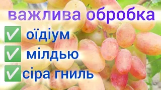 Обробка винограду перед цвітінням! Та ще пара секретів.