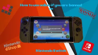 How to use online services on BANNED Nintendo Switch