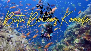 Diving Batu Bolong with Blue Marlin Komodo