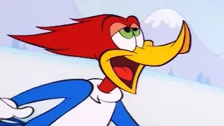 Woody Woodpecker Show | Over The Top | 1 Hour Woody Woodpecker Compilation | Cartoons For Children