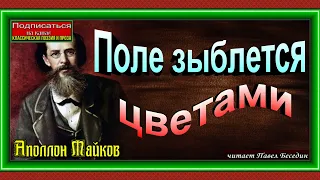 Поле зыблется цветами , Аполлон Майков ,Русская Поэзия ,читает Павел Беседин