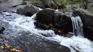 Hidden Gems of Duluth: Congdon Park Trails