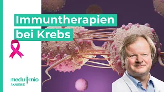 Krebs: So kann Immuntherapie bei Tumoren helfen 🩺​ Prof. Dr. Stefaan W. Van Gool